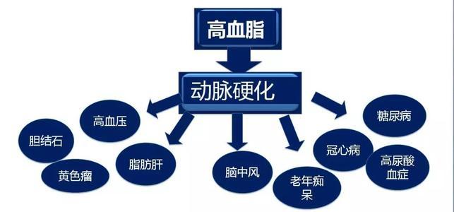 高血脂一般會產(chǎn)生什么樣的危害呢？高血脂有什么危害？